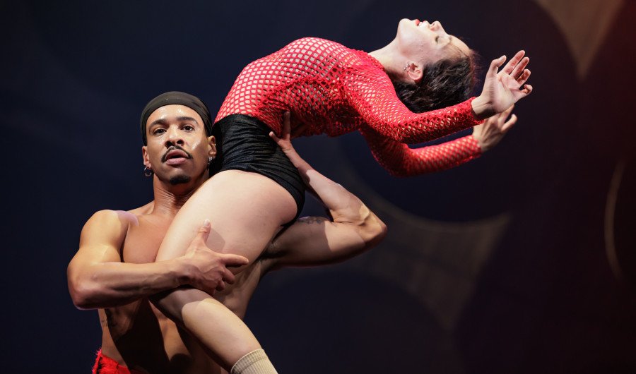 Nachrichten Vogtland