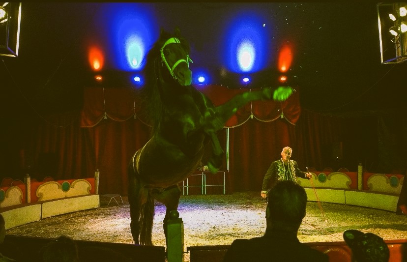 Nachrichten Vogtland