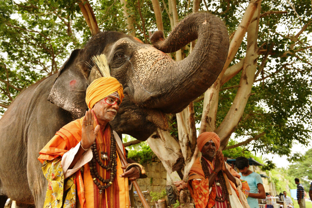 Nachrichten Vogtland