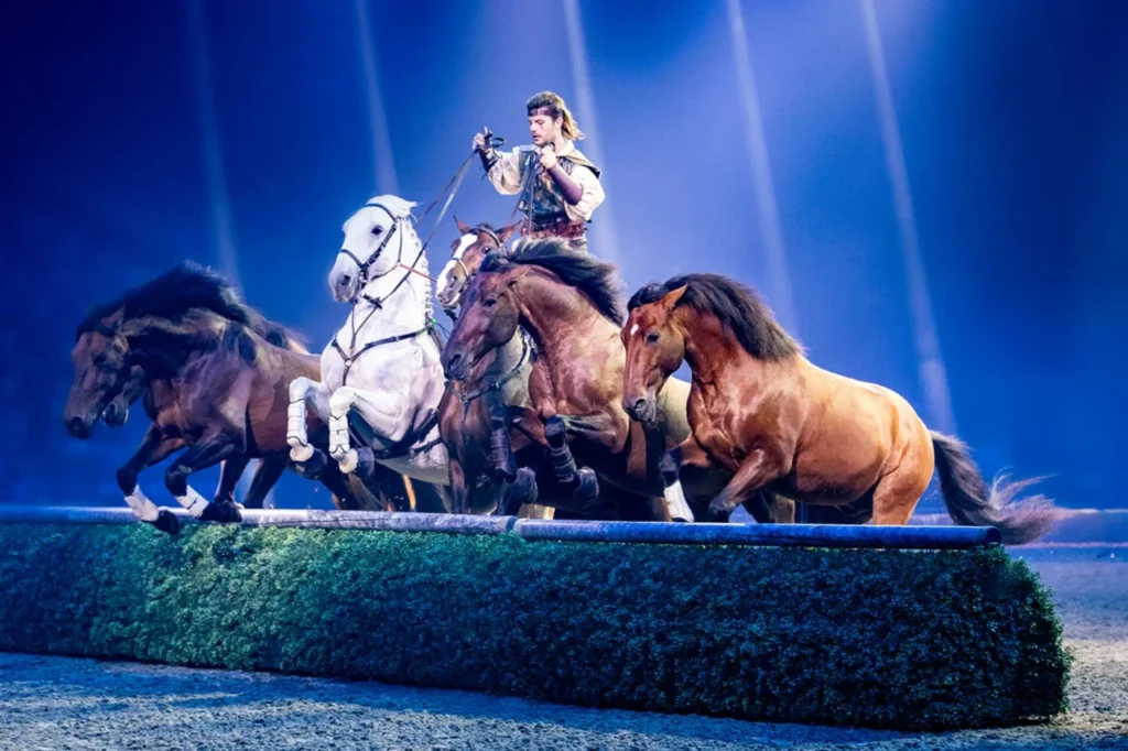 Vogtlandstreicher Nachrichten Vogtland