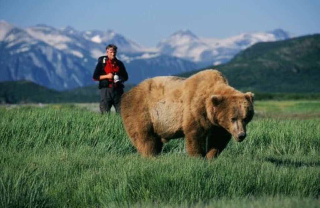 Nachrichten Vogtland