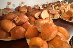 Nachrichten Vogtland