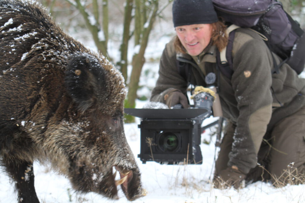Nachrichten Vogtland