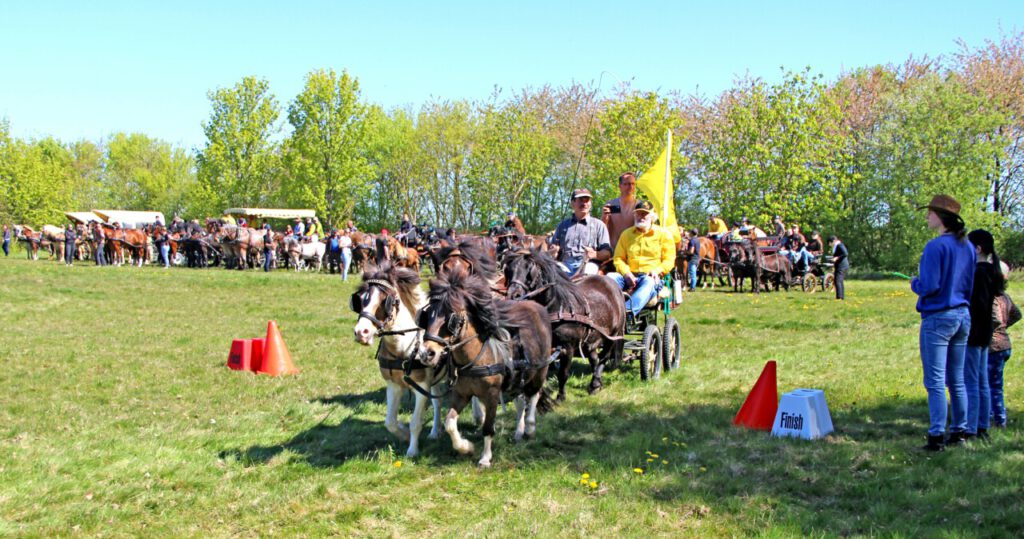 Nachrichten Vogtland