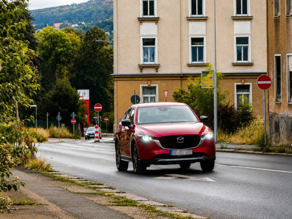 Vogtlandstreicher Nachrichten Vogtland