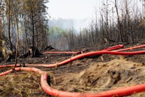 Vogtlandstreicher Nachrichten Vogtland