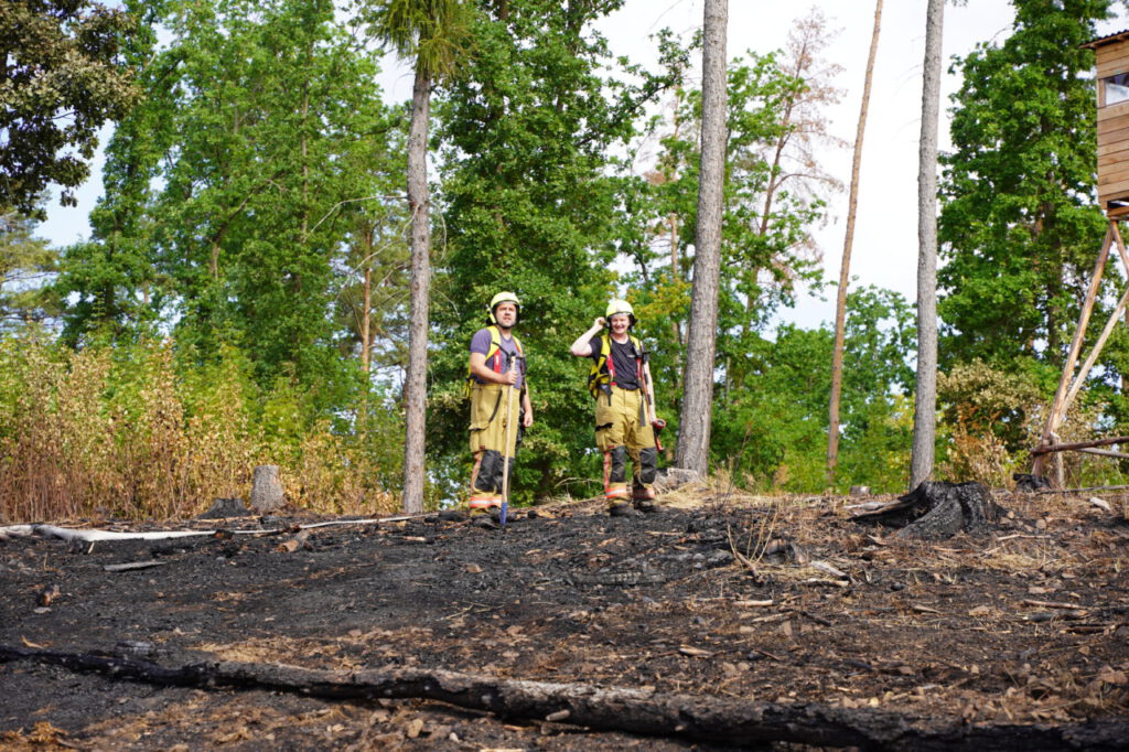 Nachrichten Vogtland
