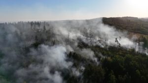 Vogtlandstreicher Nachrichten Vogtland