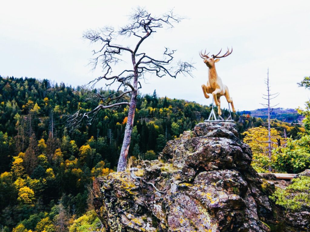 Nachrichten Vogtland