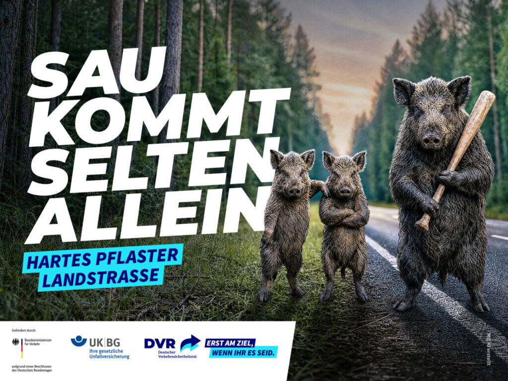 Vogtlandstreicher Nachrichten Vogtland