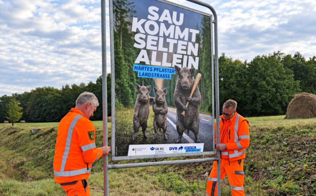 Nachrichten Vogtland